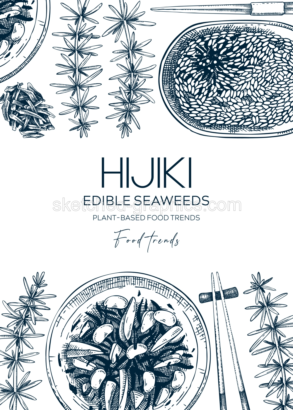 Hand drawn hijiki design. Sea vegetable sketches. Edible seaweed vector illustration. Japanese cuisine trendy menu design. Healthy food ingredients background  Illustration